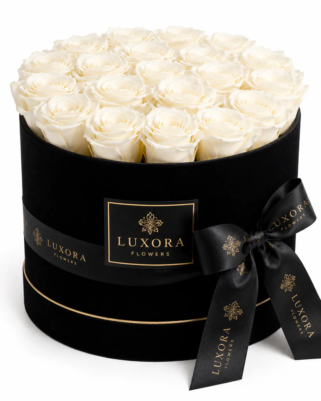 Jardin Secret Box